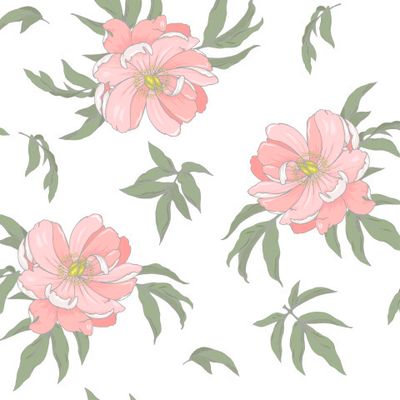 розовые пионы