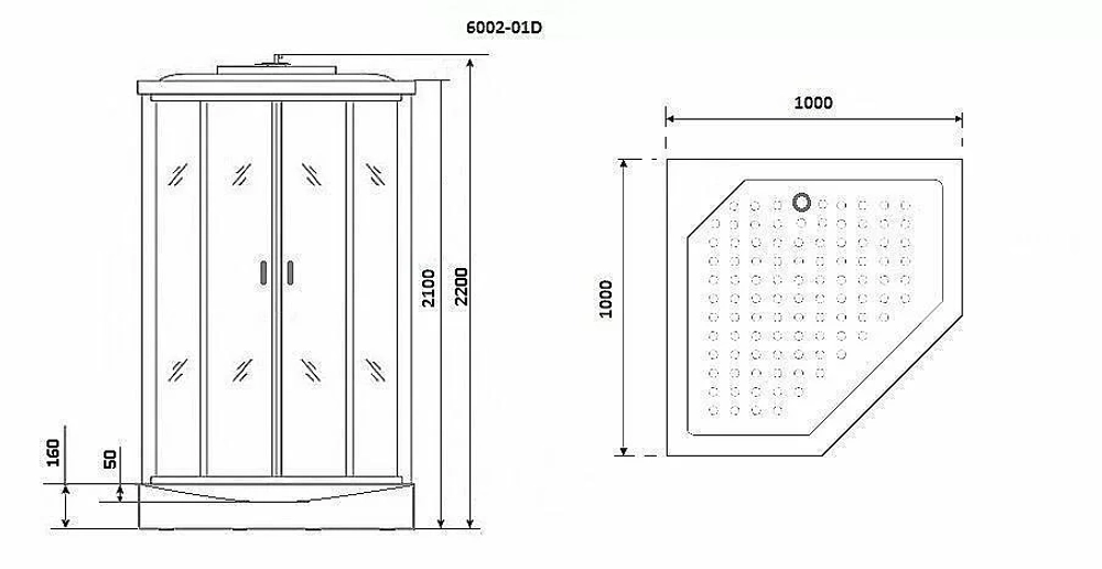 Душевая кабина Niagara Premium NG- 6002-01D 100x100