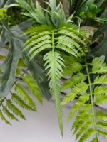 Композиция в ящике "Фаленопсис"