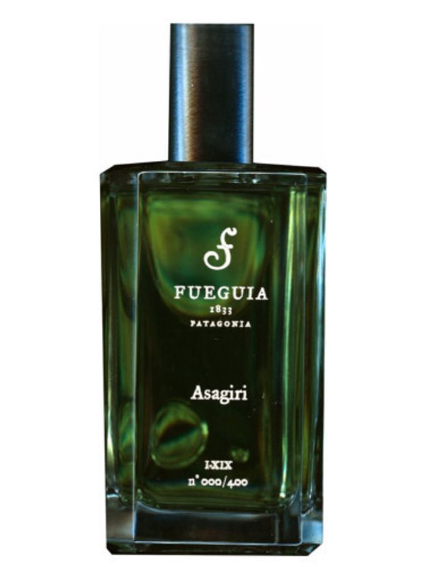 Fueguia 1833 Asagiri