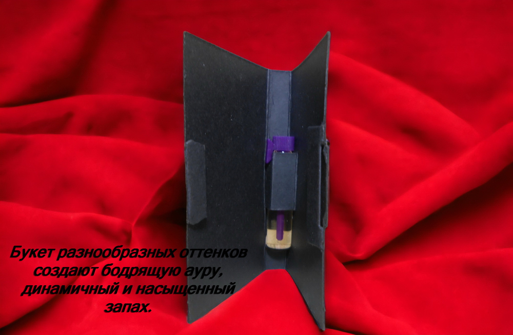 Парфюмерная вода мужская СвеТLана Mr. Newl C&M016-00 1 мл
