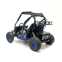 Багги Green Camel Намиб T10 (60V 2000W R8 Дифф)