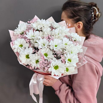 Букет из 5 кустовых хризантем сорта "Kennedy white" и розовой гипсофилы