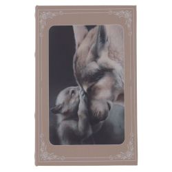 GAEM Шкатулка-книга, L16,5 W4,5 H26 см