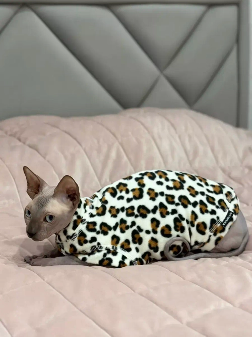 Одежда свитер для сфинксов кошек