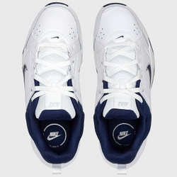 Кроссовки мужские NIKE DEFYALLDAY