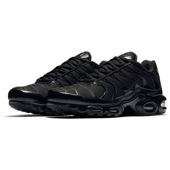 Кроссовки Nike Air Max Plus Мужские