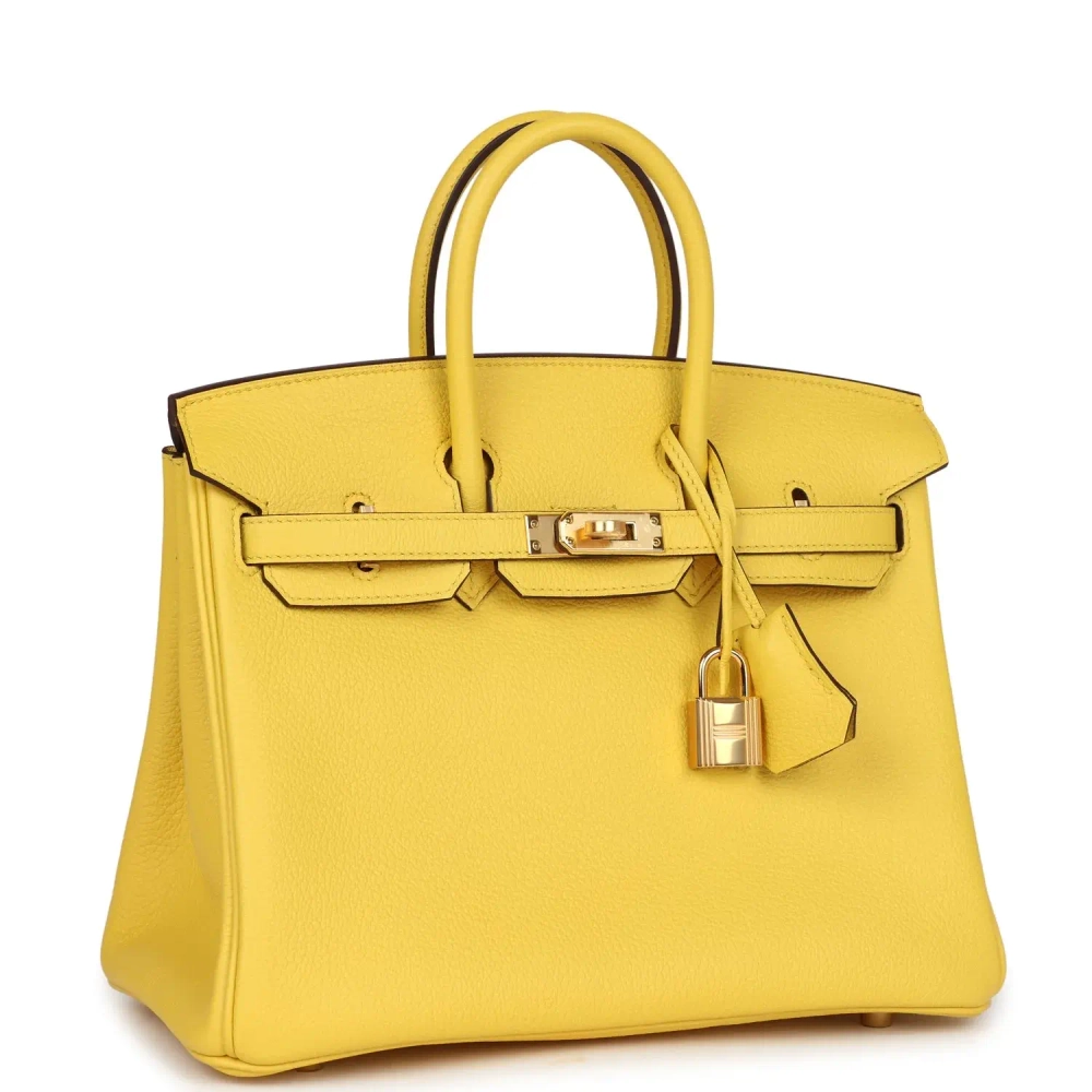 Сумка из коллекции D с золотой фурнитурой Hermès Birkin