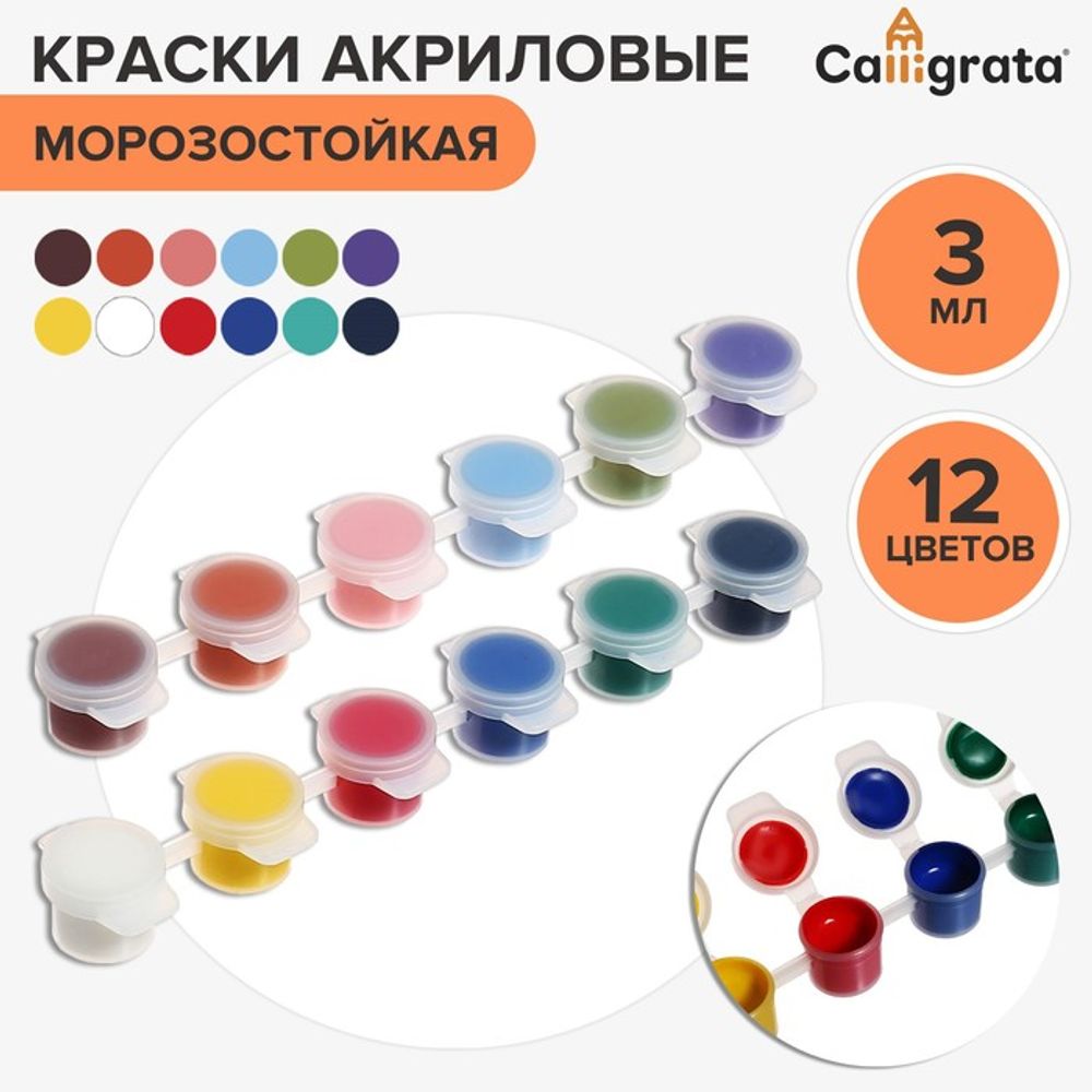 Краска акриловая, набор 12 цветов х 3 мл, Calligrata
