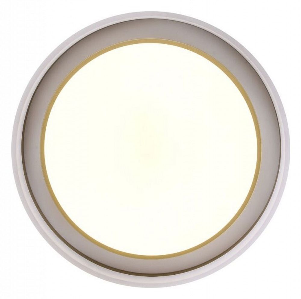 Накладной светильник Zortes Adel ZRS.1200.01