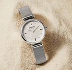 Женские наручные часы Skagen SKW2956