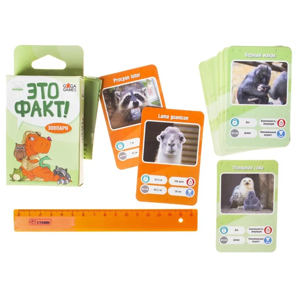 Настольная карточная игра Это факт! ЗООПАРК