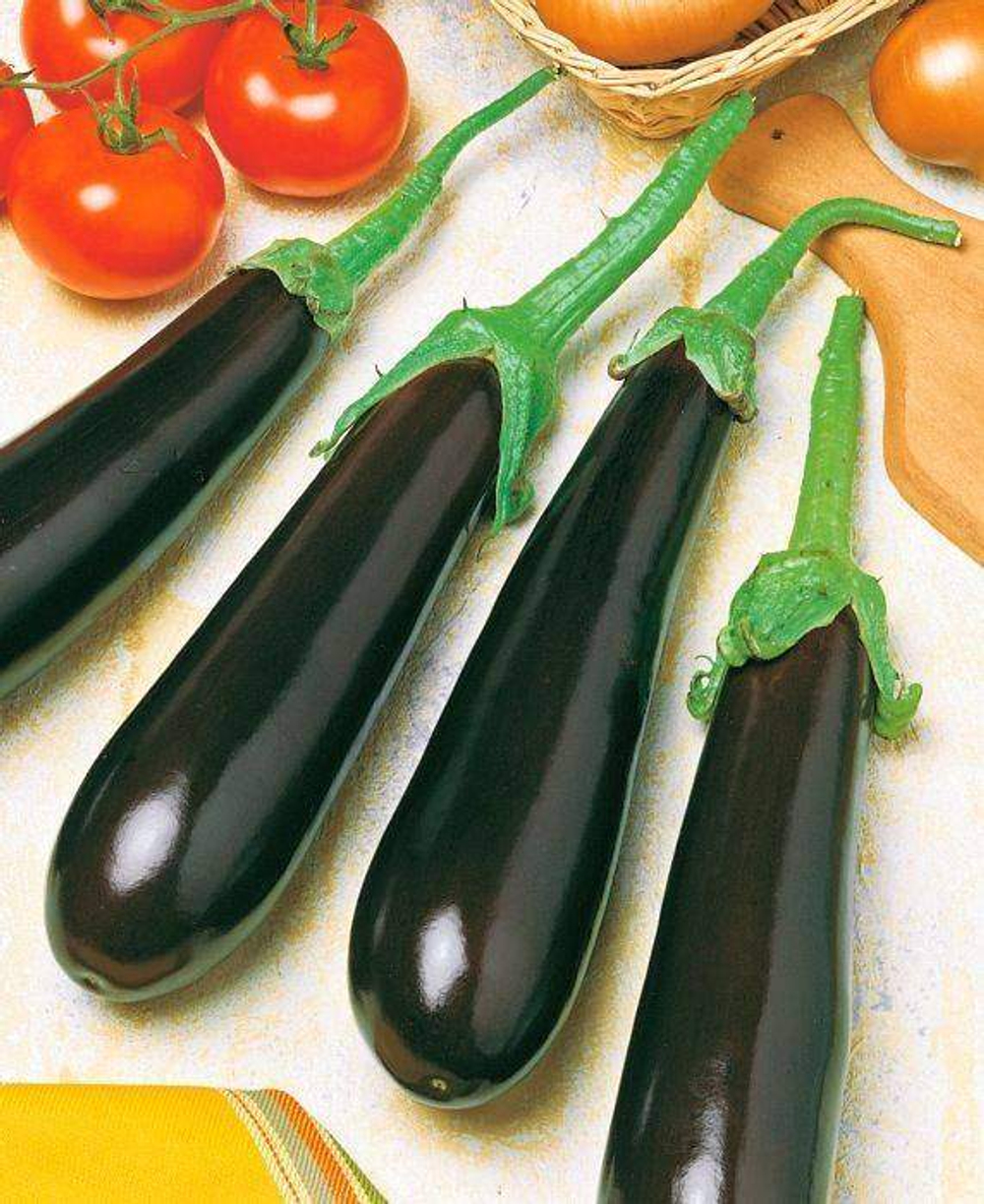 Баклажан Каратай F1 (50шт)  Витагрин Профи