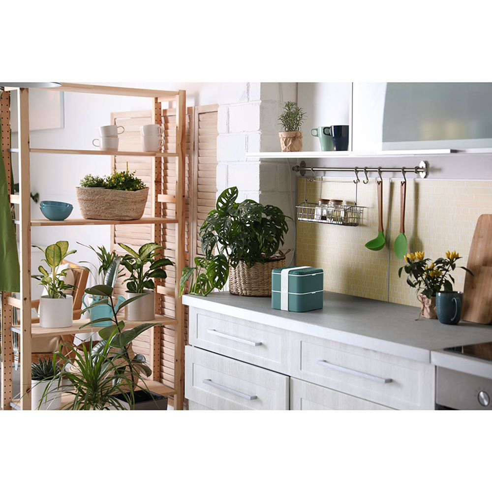 Ланч-бокс mb square, jungle