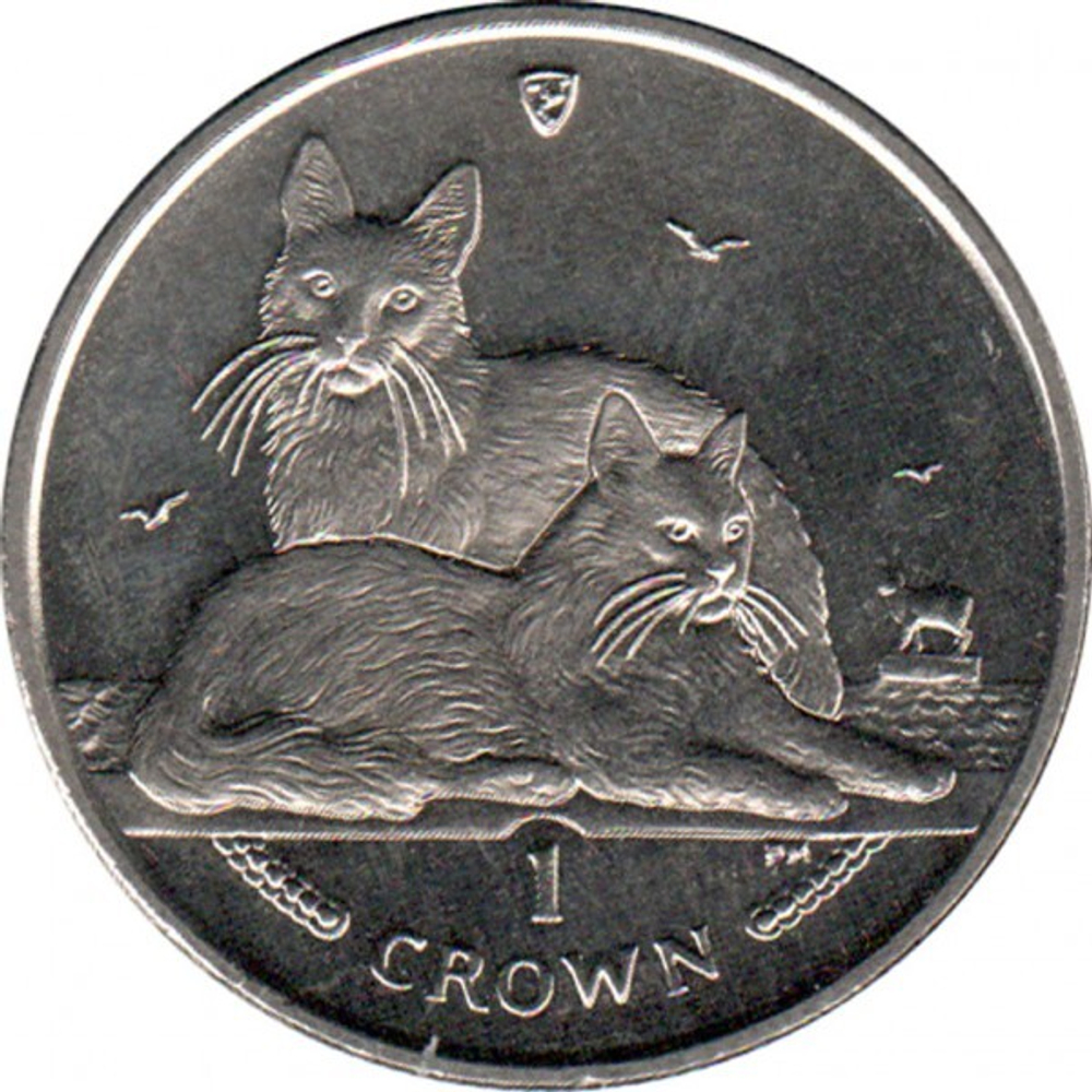 Турецкая ангора