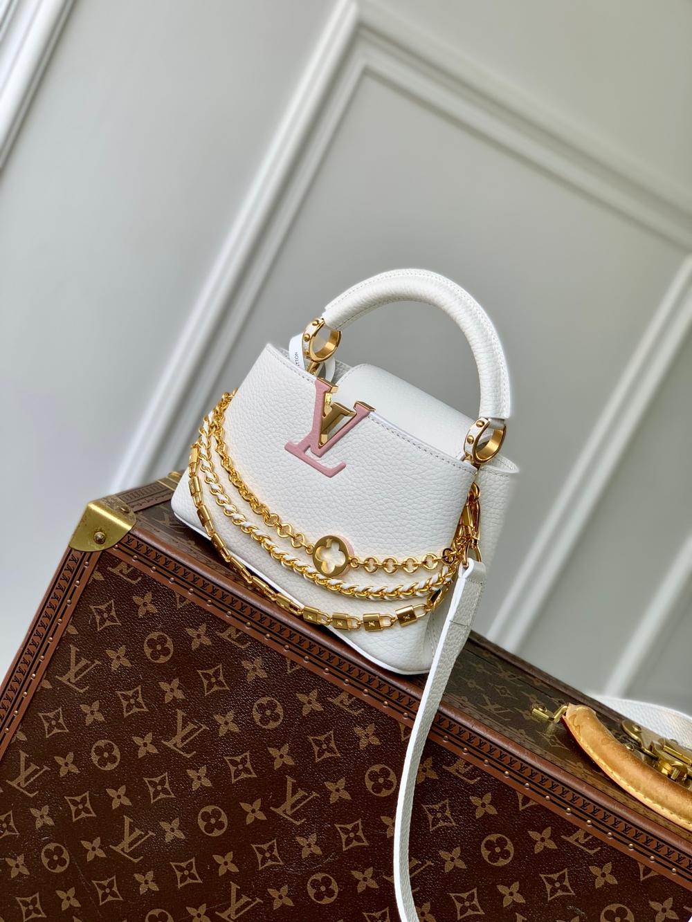 Louis Vuitton Capucines (3 sizes)