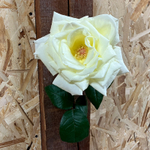 Норма Джин — букет невероятных белых ароматных роз