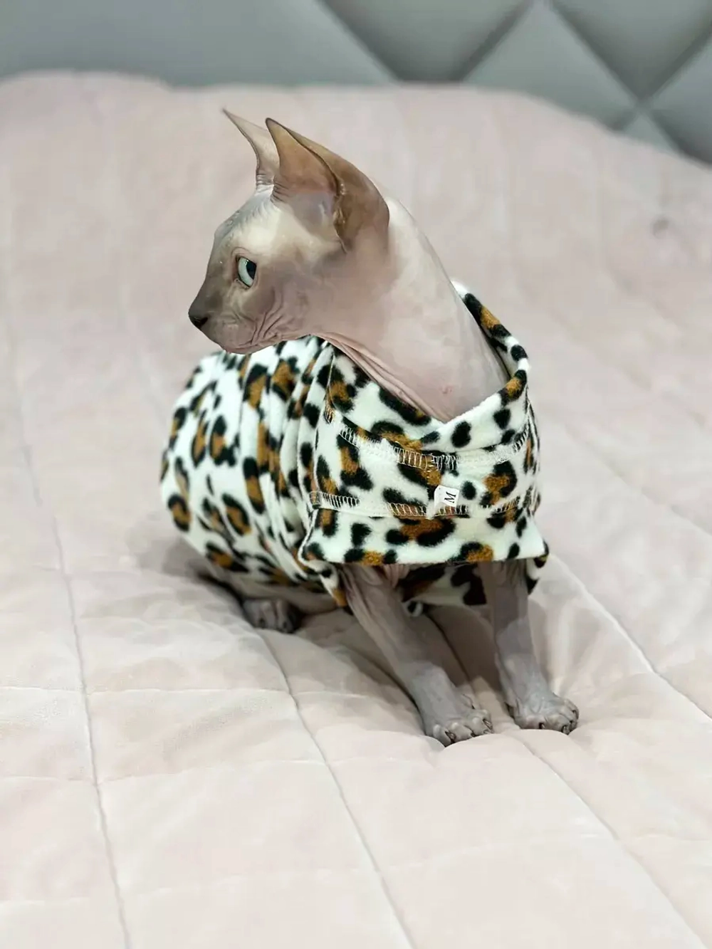 Одежда свитер для сфинксов кошек