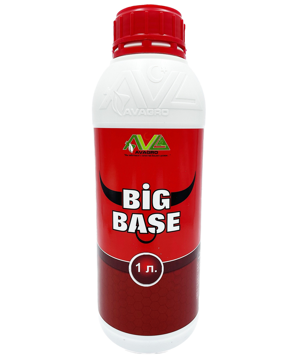 big base 1л