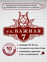 Адресная табличка на дом с котом мейн-куном, 60х45 см.