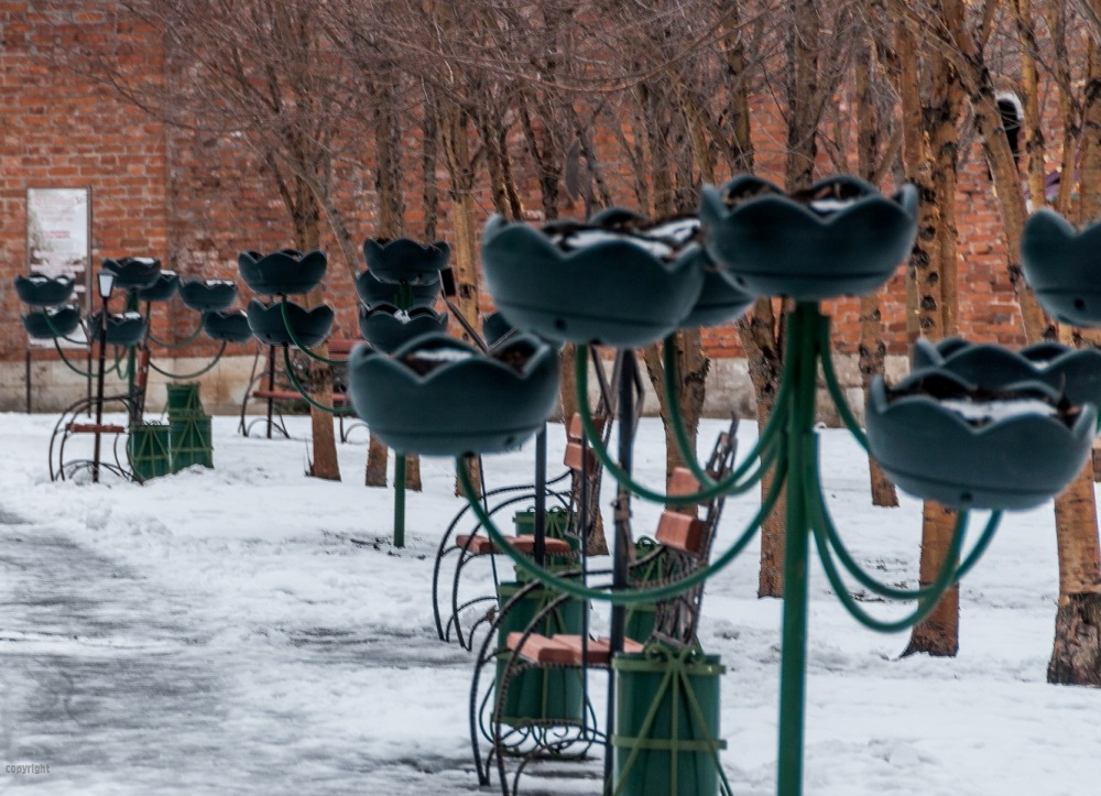 Цветник Каскад
