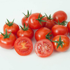 Саппоро F1 семена томата индетерминантного (Гавриш)