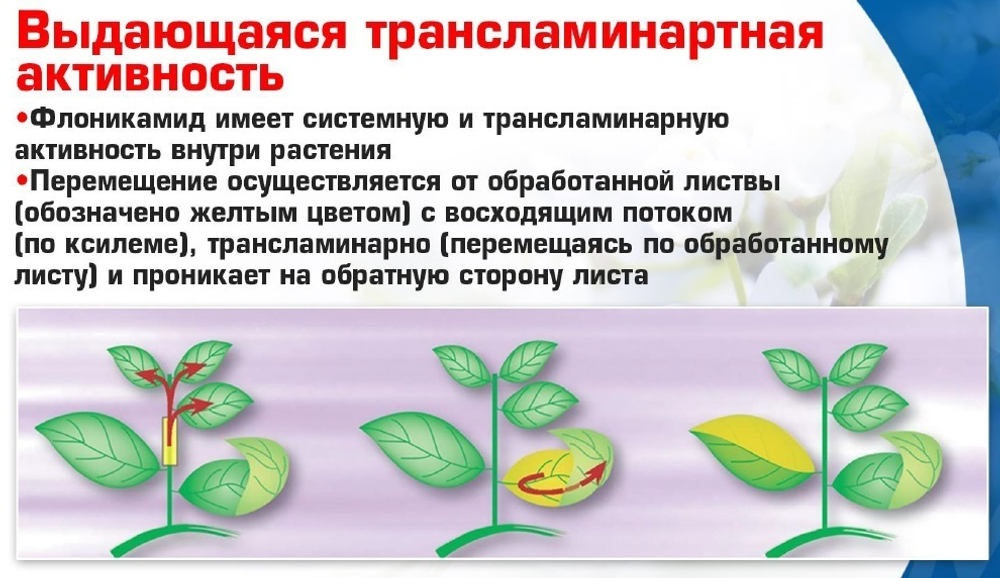 Инсектицид Теппеки , ВДГ (500 г/кг флоникамид) 2кг