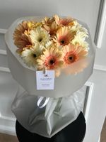 Букет из гербер в кремовом оттенке 15 шт