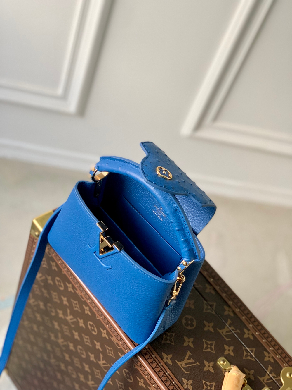 Louis Vuitton Capucines Mini