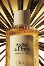 Chloé Cedrus Intense EDP