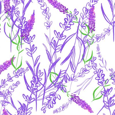 Лаванда в Крыму