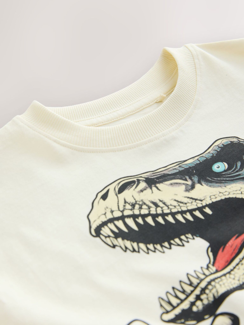 Пижама для мальчика Next E66-485, Молочный, Голубой