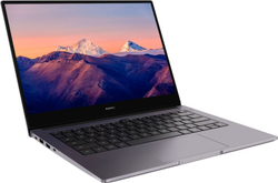 Ноутбук Huawei MateBook B3-410 (53012KFU) Core i5 10210U 8Gb SSD512Gb Intel UHD Graphics 620 14" (1920x1080) Windows 10 Professional