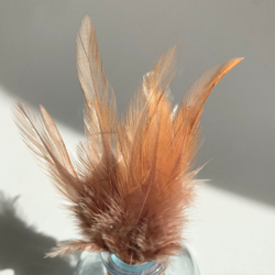 Перья петуха карамельный латте 10 - 15 см. 20 шт.