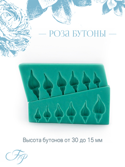 Роза бутоны