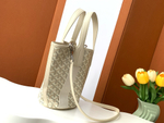 Goyard Belharra PM Bag