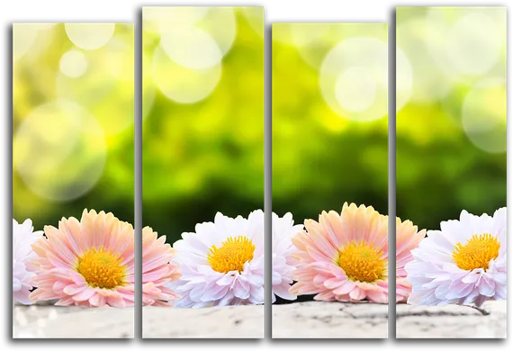 Модульная картина "Маргаритки"