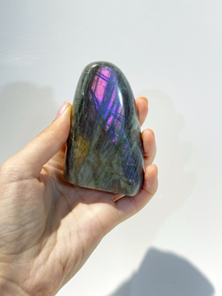 Срез Лабрадора S