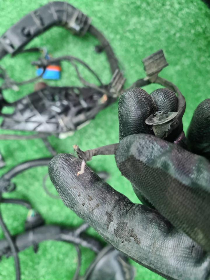 Проводка моторного отсека Geely Monjaro (21-нв)