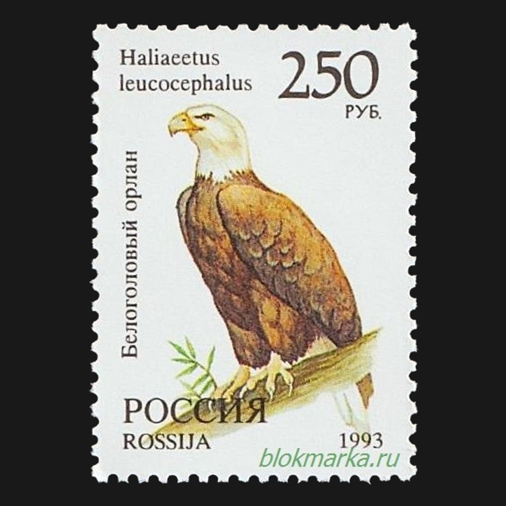 Россия 1993 г № 130-137 Серия Фауна мира Чистая MNH **