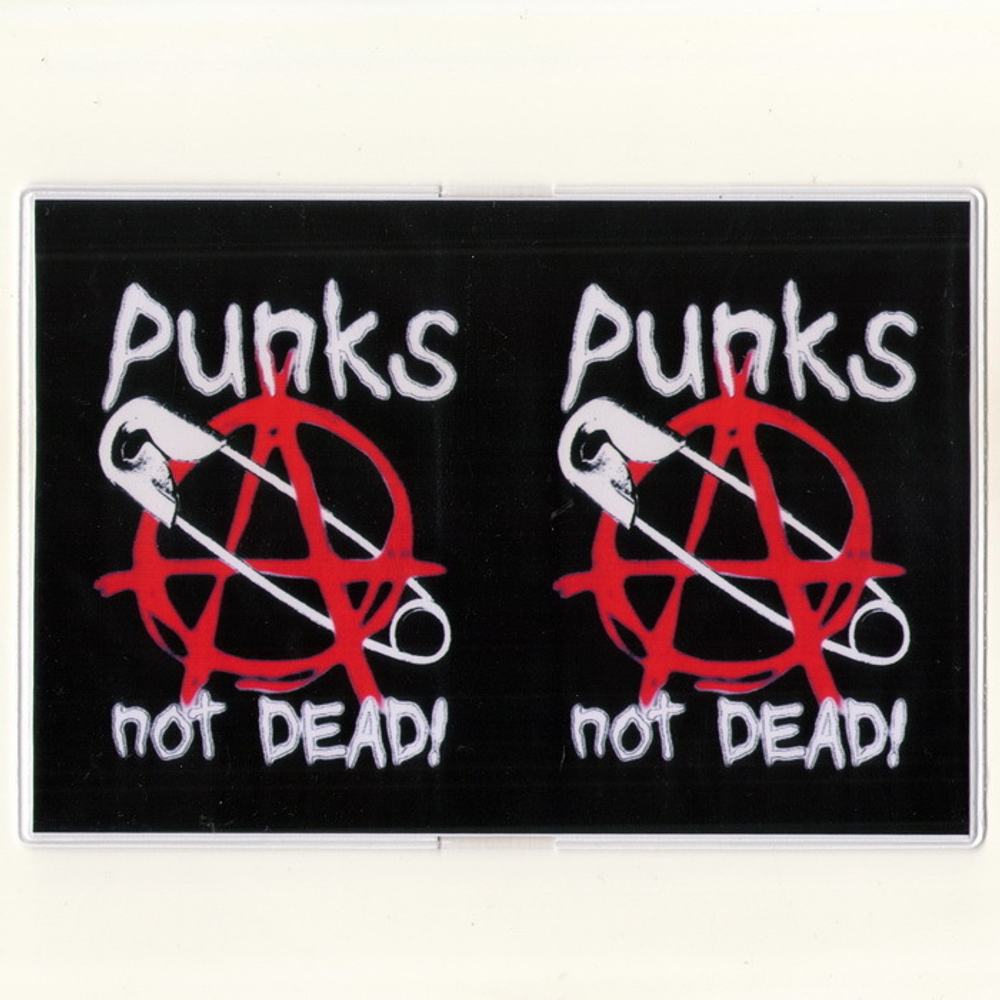 Обложка Punks Not Dead булавка (323)