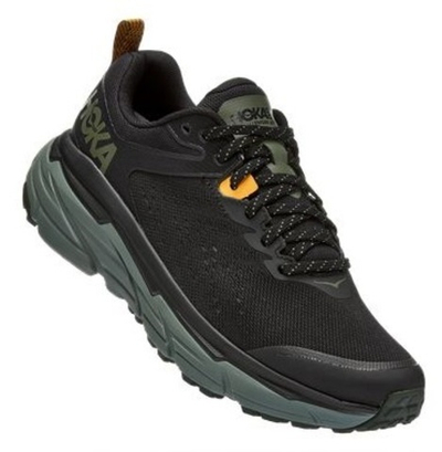 Кроссовки мужские Hoka Challenger ATR 6