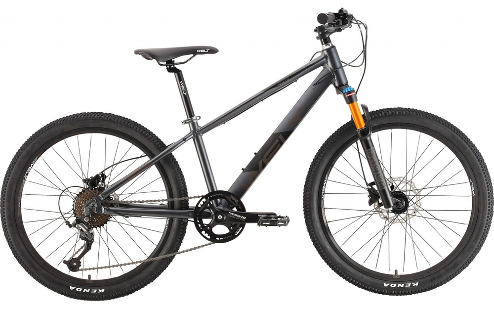 Велосипед WELT Peak 24 2.0 HD (2021)