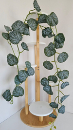 Лиана каменоломка / Арт 4092