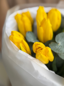 Яркие желтые тюльпаны премиум сорта и зелень эвкалипта в воздушном оформлении от Флора Маркет