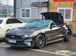 Ford Mustang Convertible (10.2022)