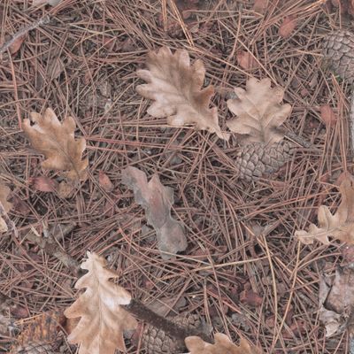 Реалистичный бесшовный осенний камуфляж