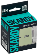 SKANDY Розетка USB A+C 3,1А SK-R14G мятный IEK