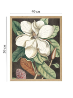 Набор постеров 40х50 белые цветы 163775715 ТТН 246259214