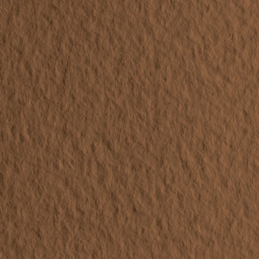 Бумага для пастели (1 лист) FABRIANO Tiziano А2+ (500х650 мм), 160 г/м2, кофейный, 52551009